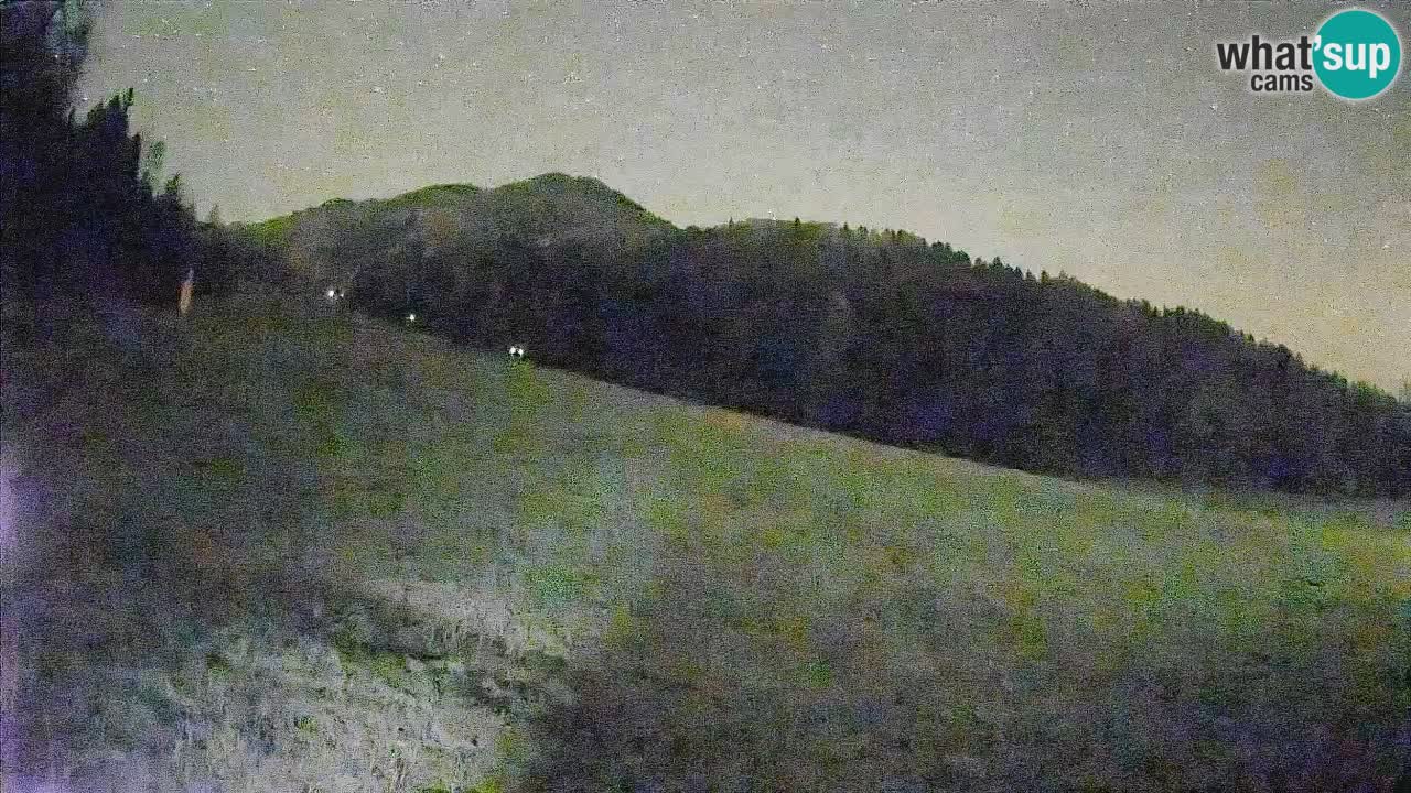 Esquí Kranjska Gora | Brsnina