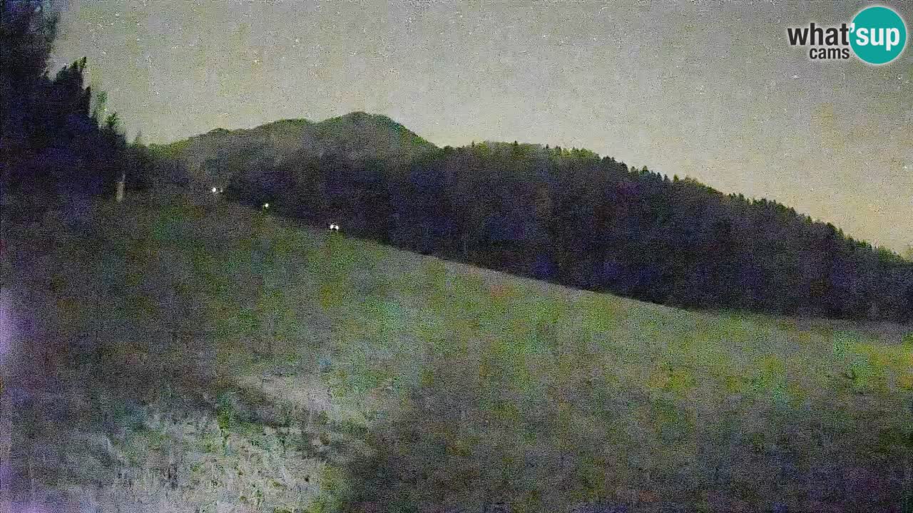 RTC Kranjska Gora | Brsnina