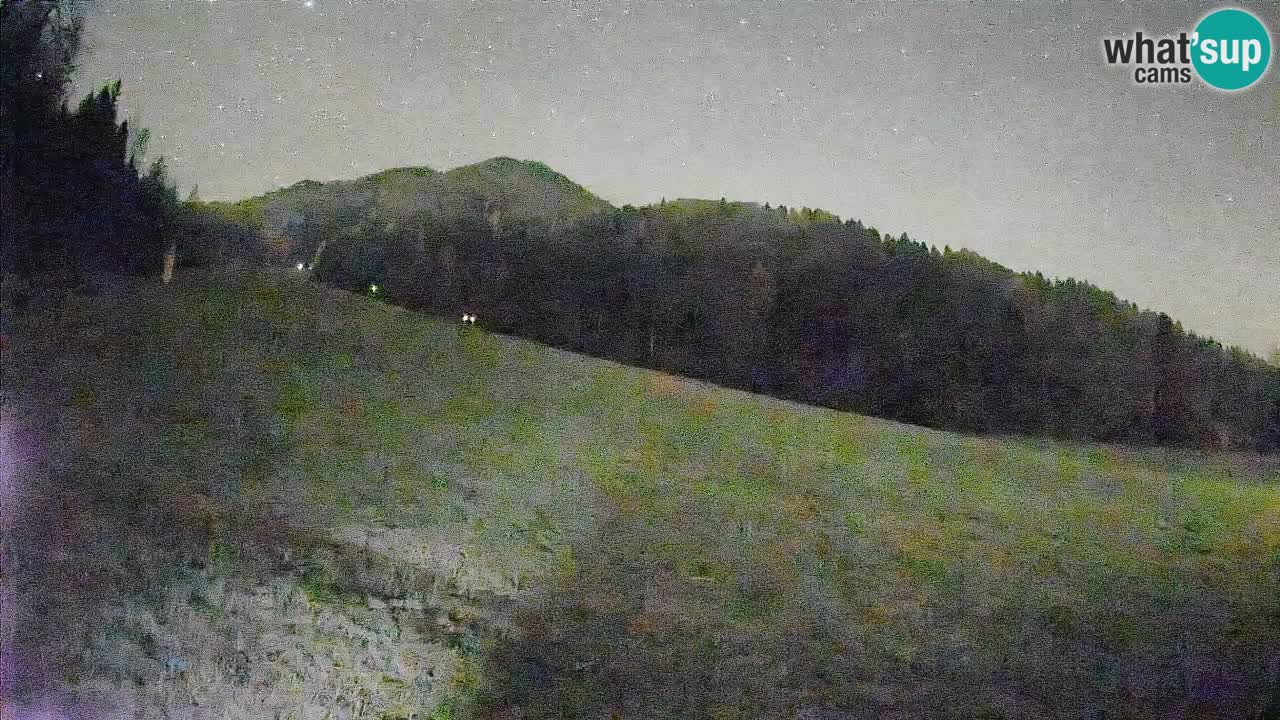 RTC Kranjska Gora | Brsnina