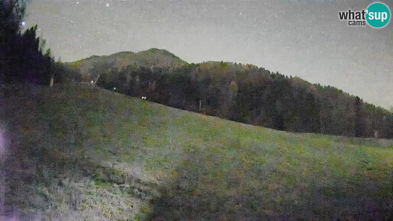 Kranjska Gora Station de ski | Brsnina