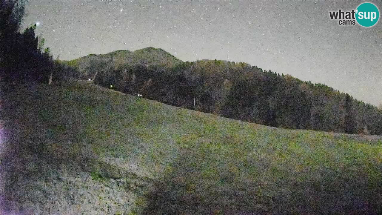 Ski Kranjska Gora | Brsnina