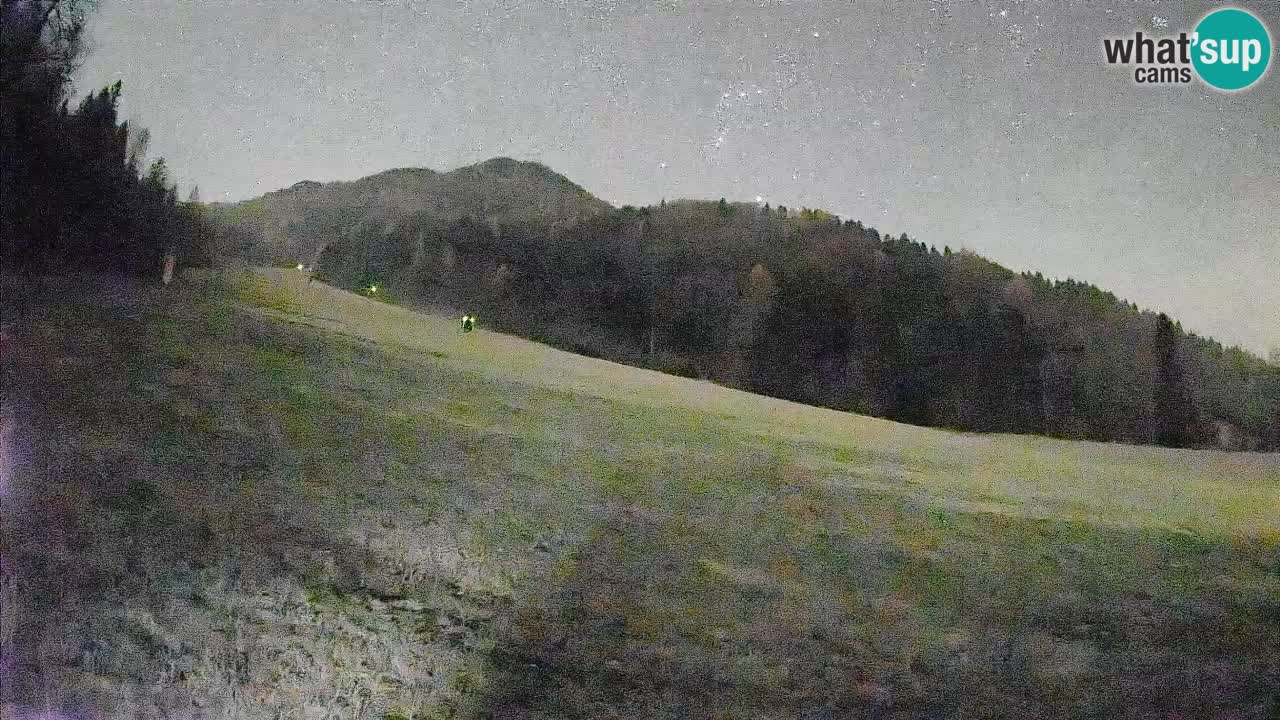 RTC Skigebiet Kranjska Gora | Brsnina