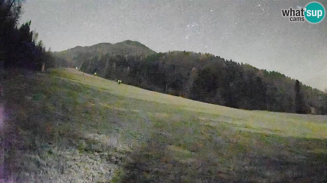 RTC Skigebiet Kranjska Gora | Brsnina