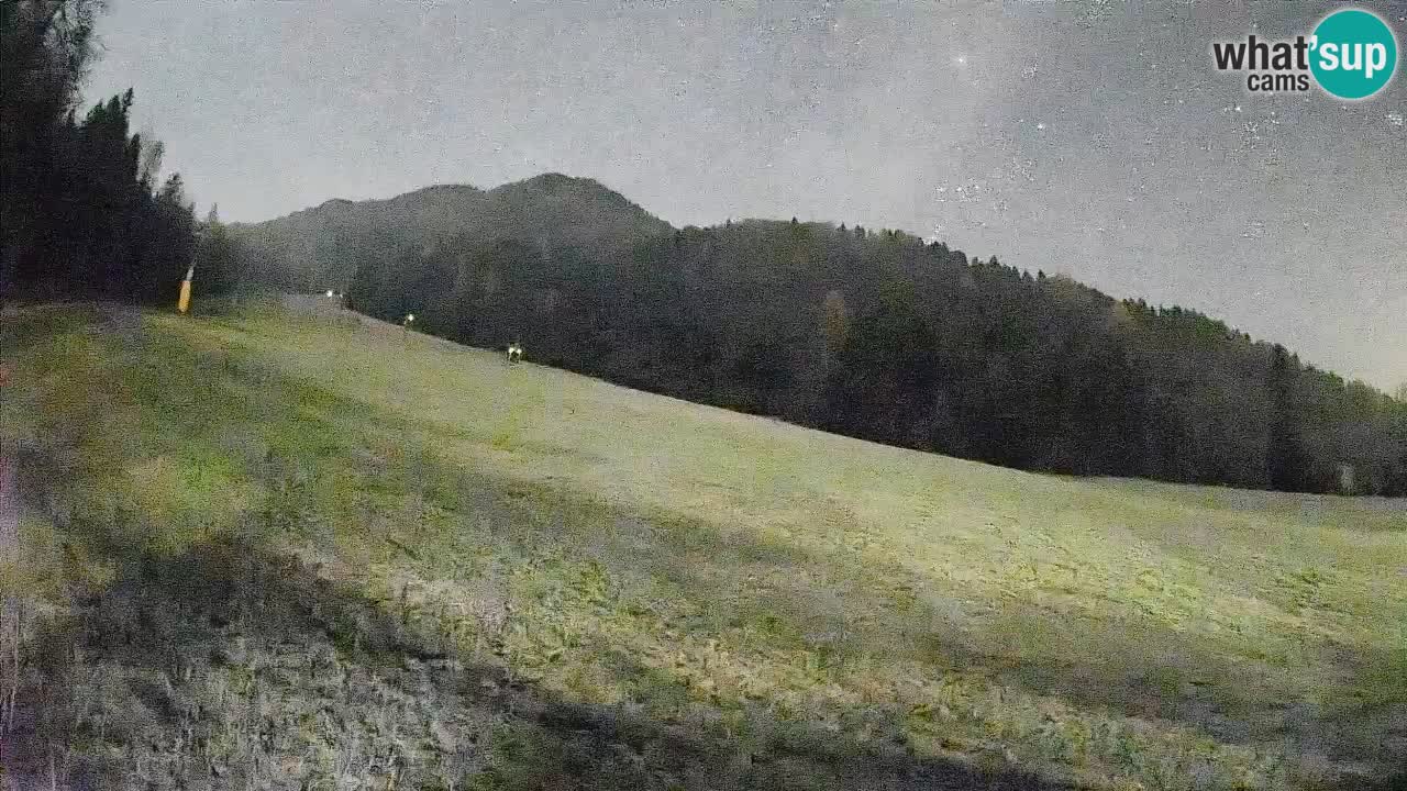 Ski Kranjska Gora | Brsnina