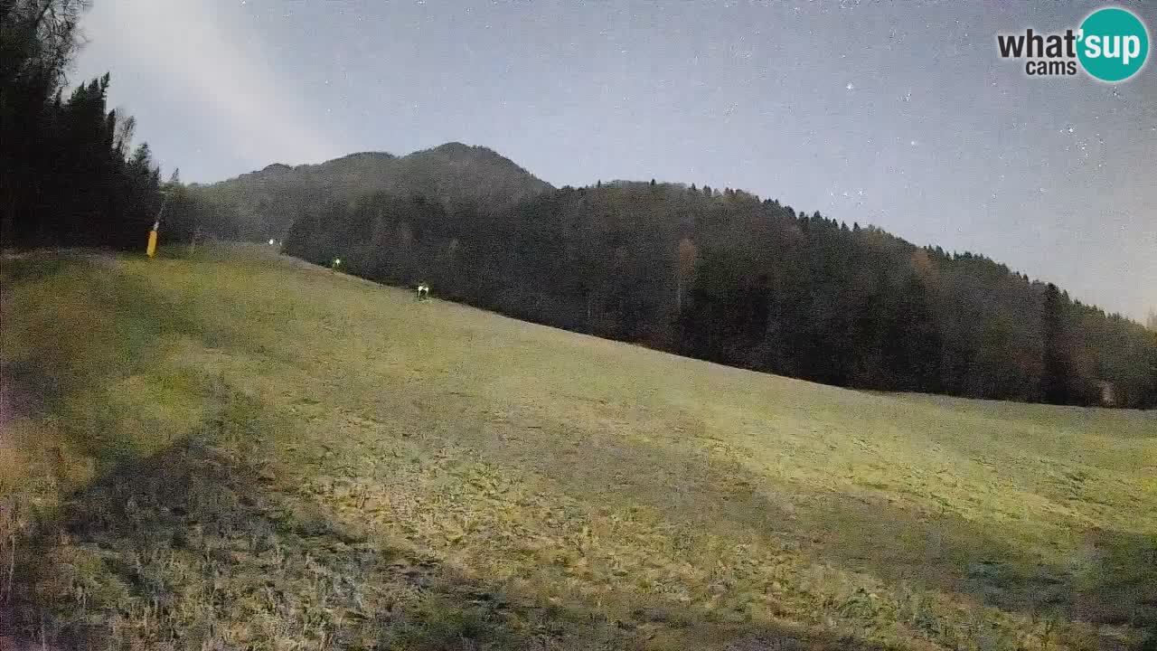 RTC Skigebiet Kranjska Gora | Brsnina