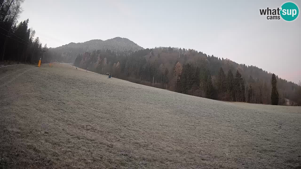 Ski Kranjska Gora | Brsnina