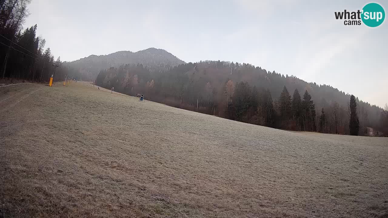 RTC Skigebiet Kranjska Gora | Brsnina