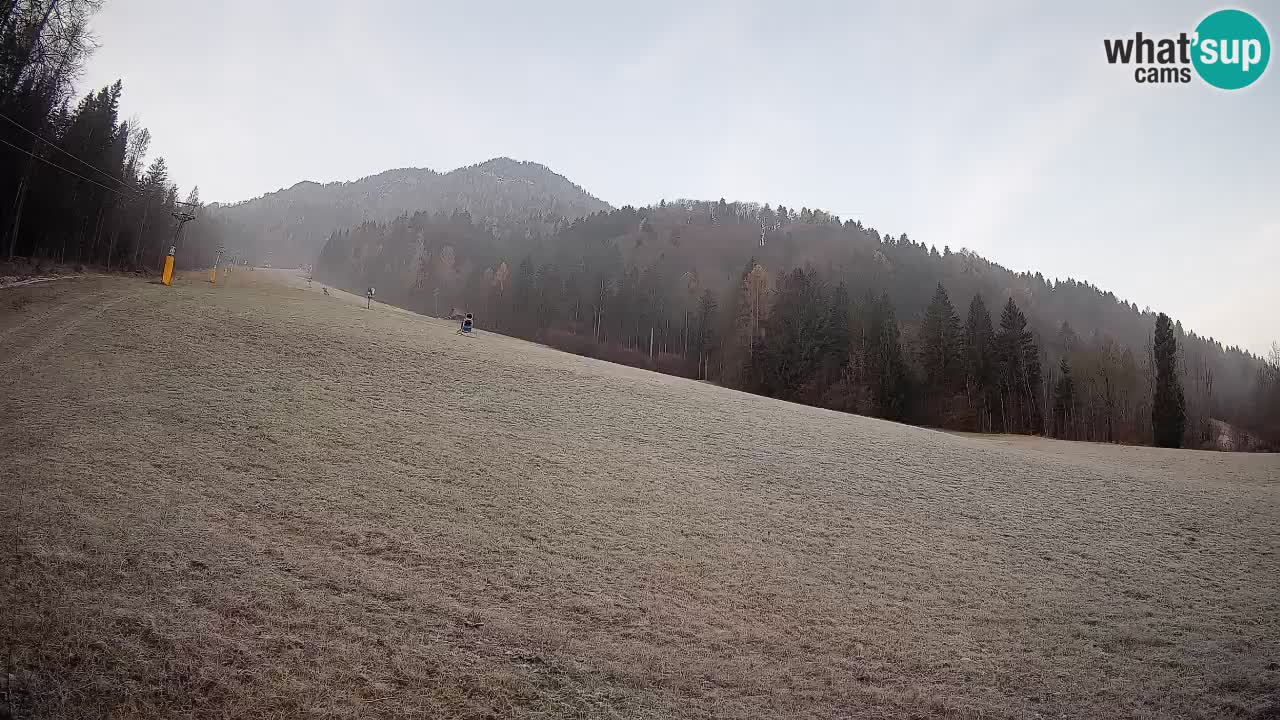 RTC Skigebiet Kranjska Gora | Brsnina