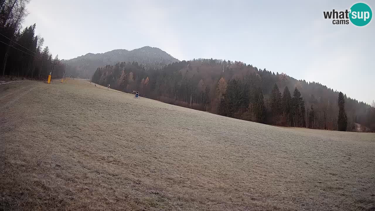 RTC Skigebiet Kranjska Gora | Brsnina