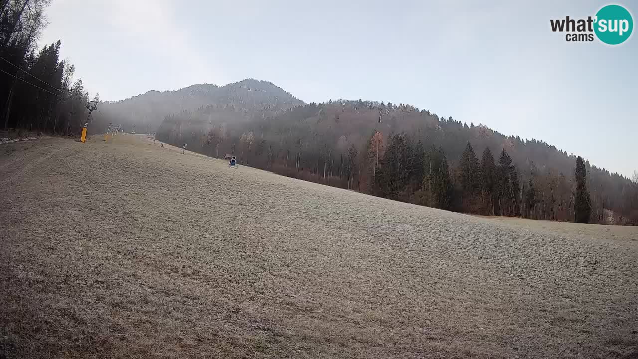 RTC Kranjska Gora | Brsnina
