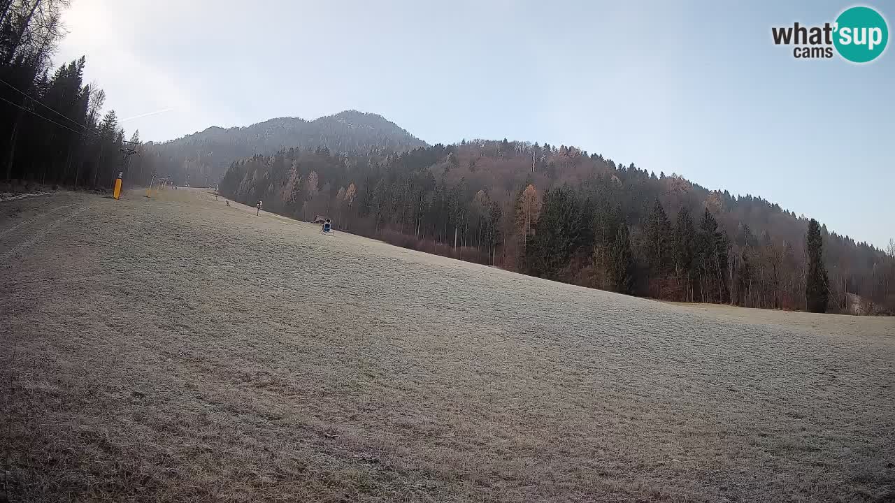 RTC Kranjska Gora | Brsnina