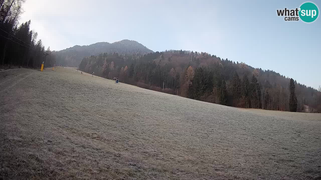 Kranjska Gora SKIJANJE | Brsnina