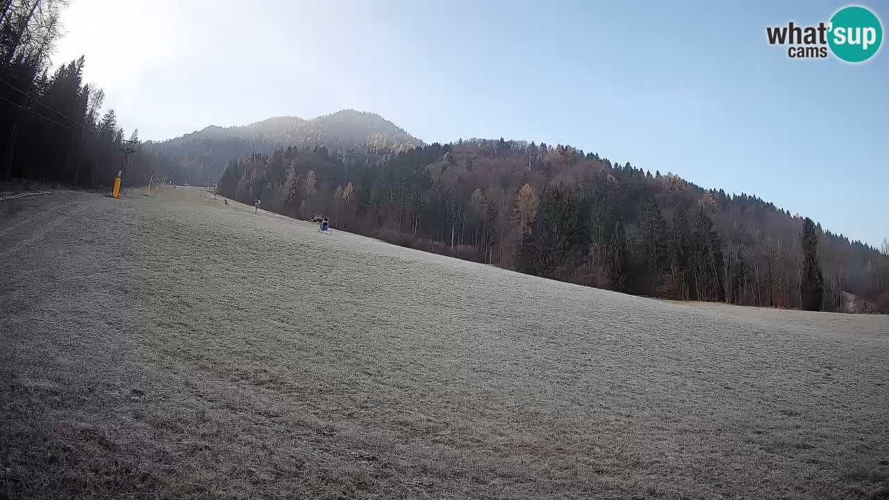 Esquí Kranjska Gora | Brsnina
