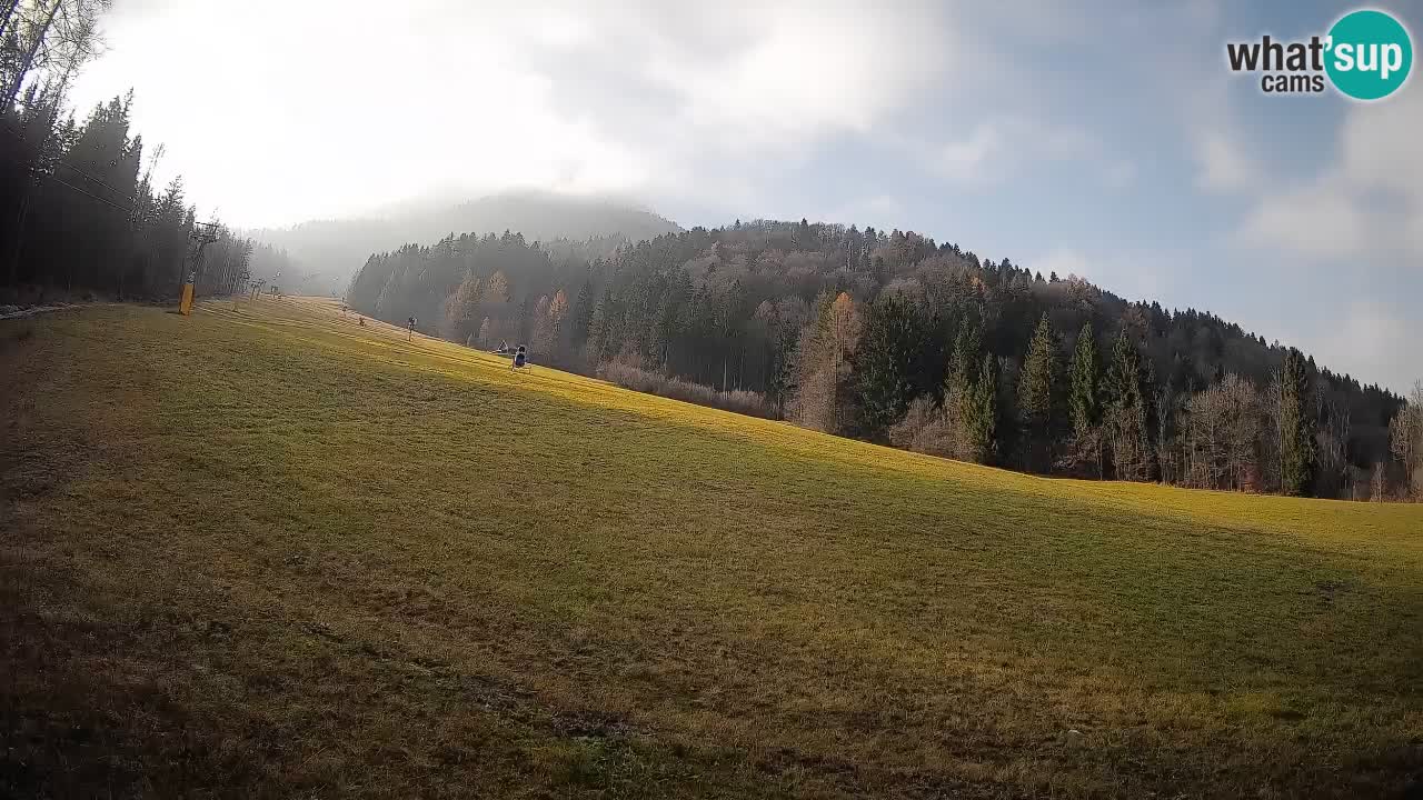 Ski Kranjska Gora | Brsnina