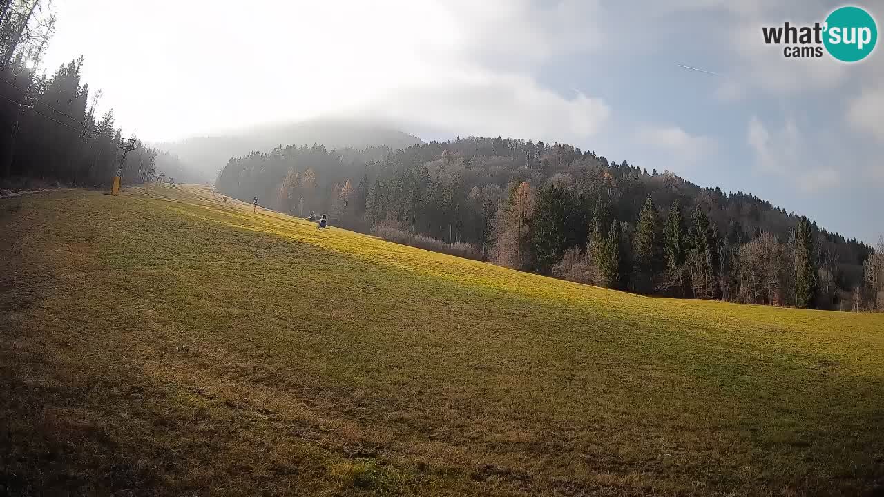 Ski Kranjska Gora | Brsnina