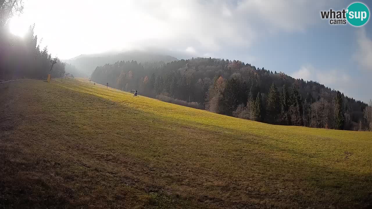 Ski Kranjska Gora | Brsnina