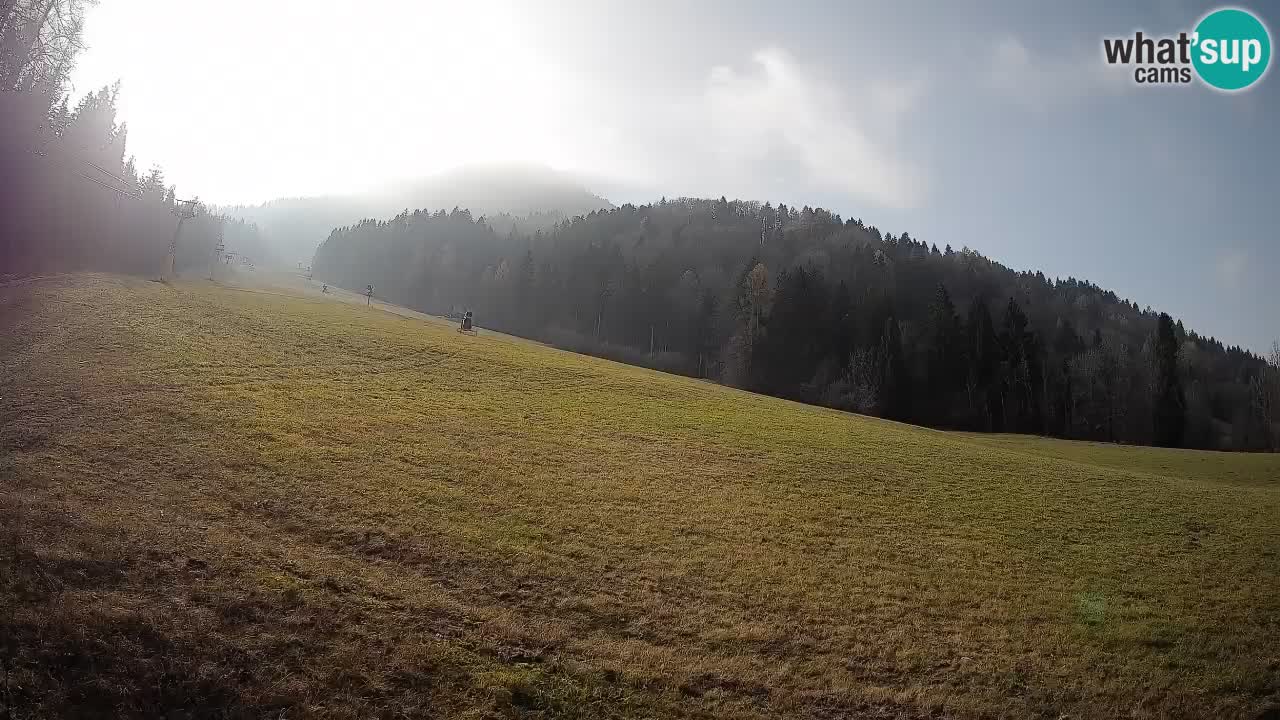 Comprensorio sciistico Kranjska Gora | Brsnina