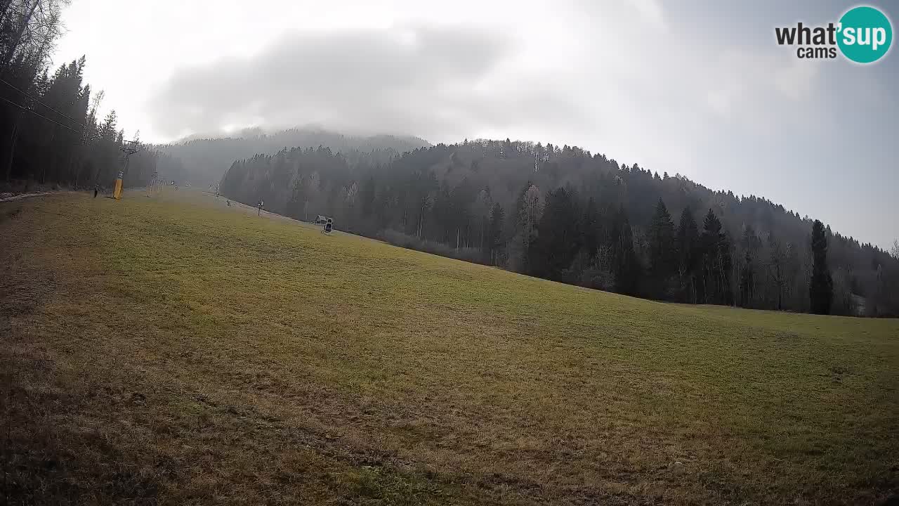 Esquí Kranjska Gora | Brsnina