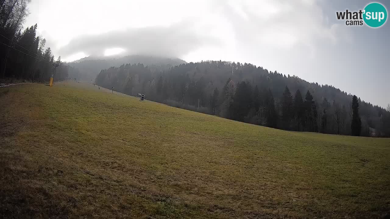 RTC Skigebiet Kranjska Gora | Brsnina