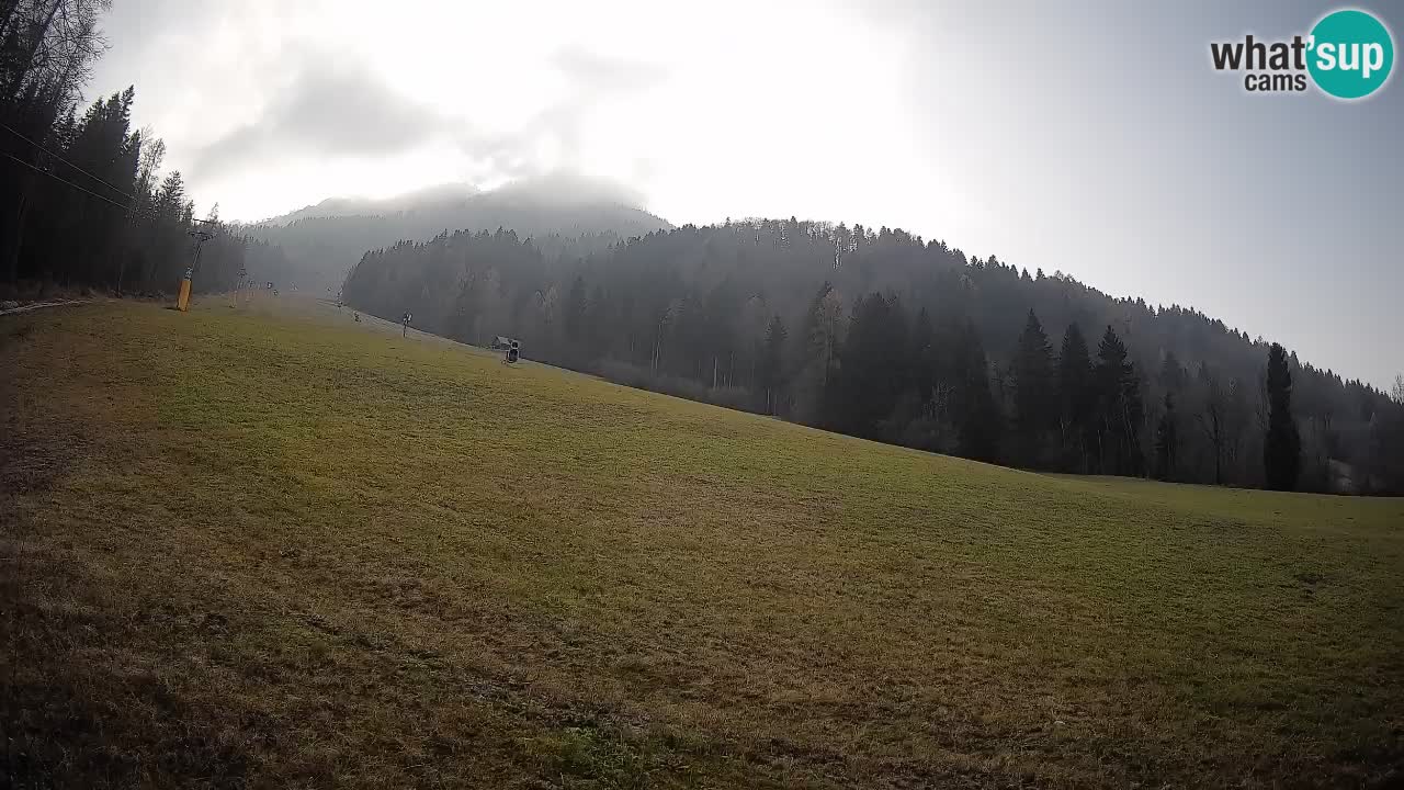 Comprensorio sciistico Kranjska Gora | Brsnina