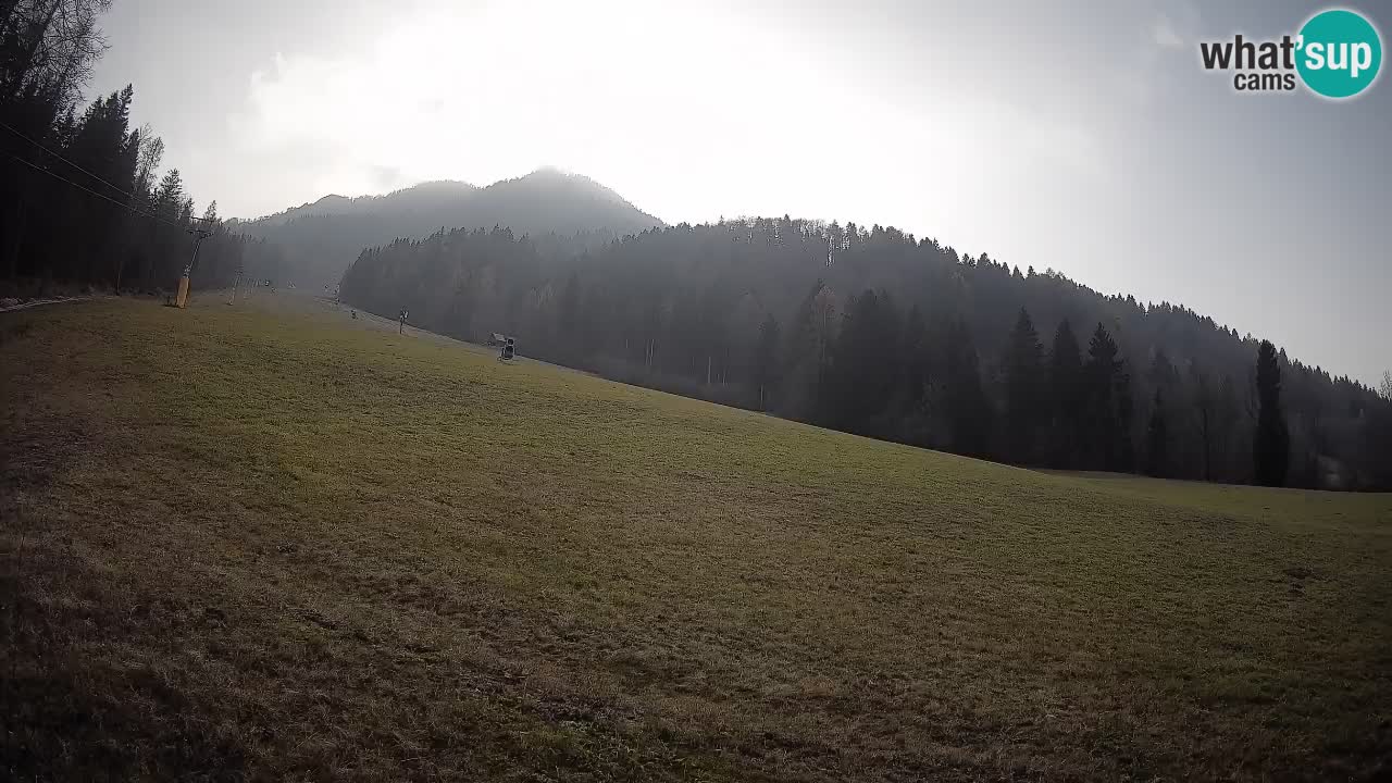 Esquí Kranjska Gora | Brsnina