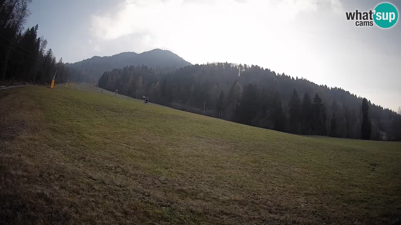 Ski Kranjska Gora | Brsnina