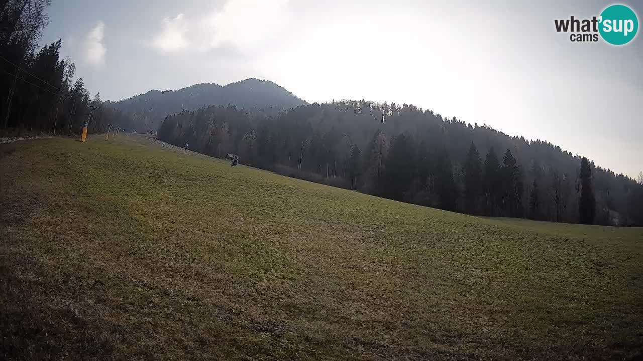 Ski Kranjska Gora | Brsnina