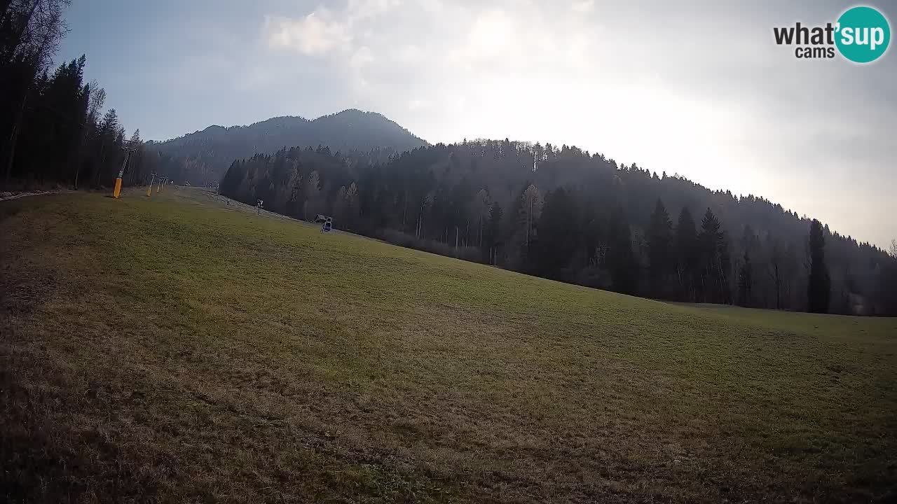 Ski Kranjska Gora | Brsnina