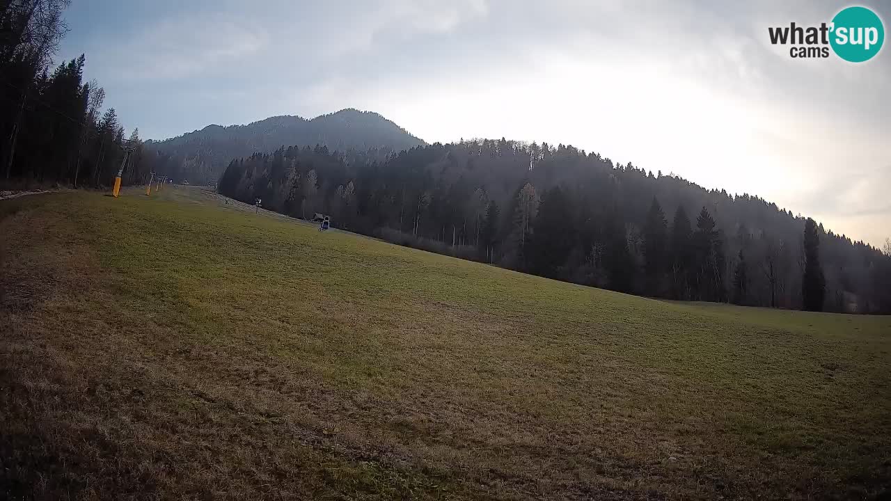 RTC Skigebiet Kranjska Gora | Brsnina