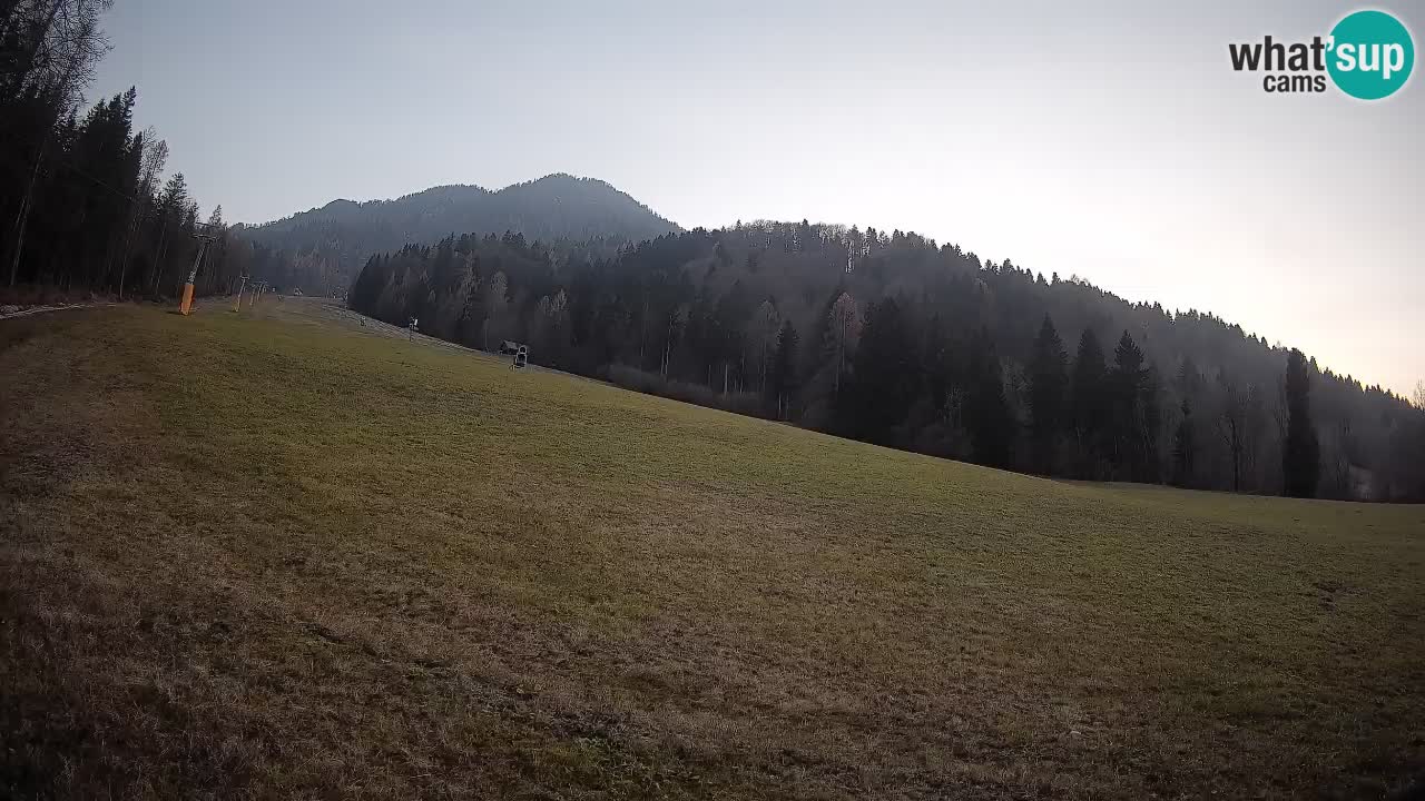 RTC Skigebiet Kranjska Gora | Brsnina