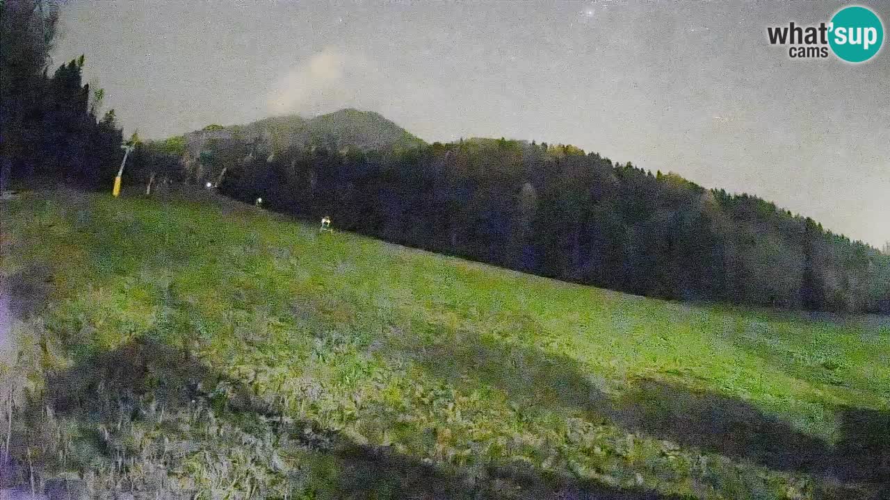 Kranjska Gora Station de ski | Brsnina