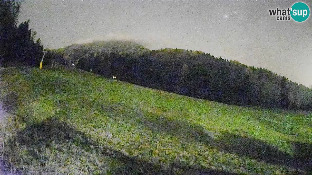 Comprensorio sciistico Kranjska Gora | Brsnina