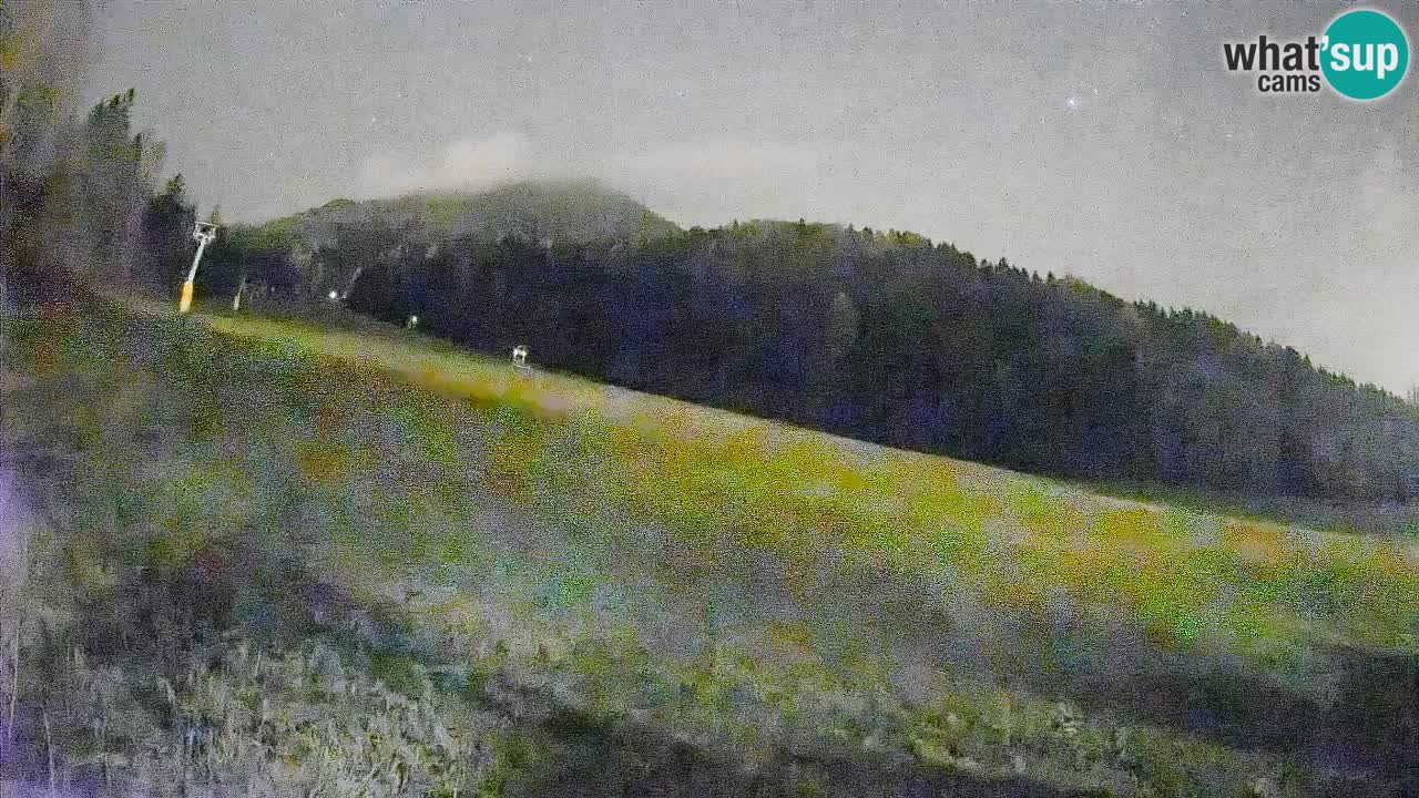 RTC Skigebiet Kranjska Gora | Brsnina