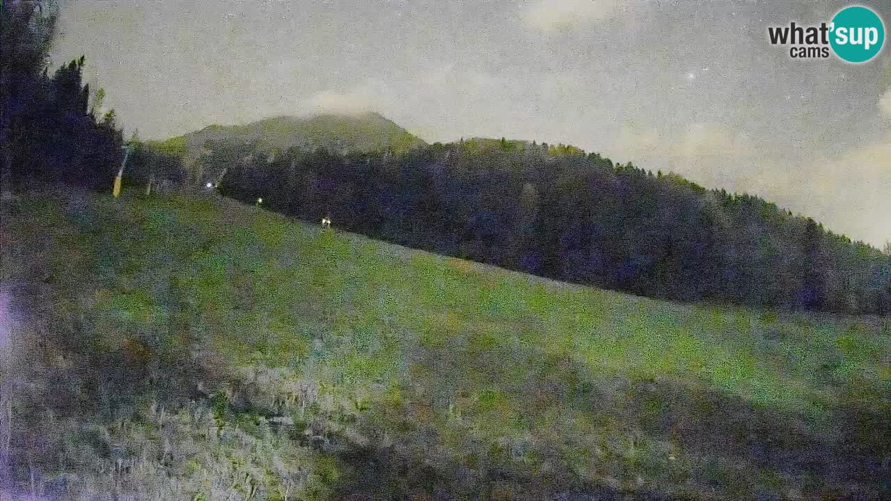 Ski Kranjska Gora | Brsnina