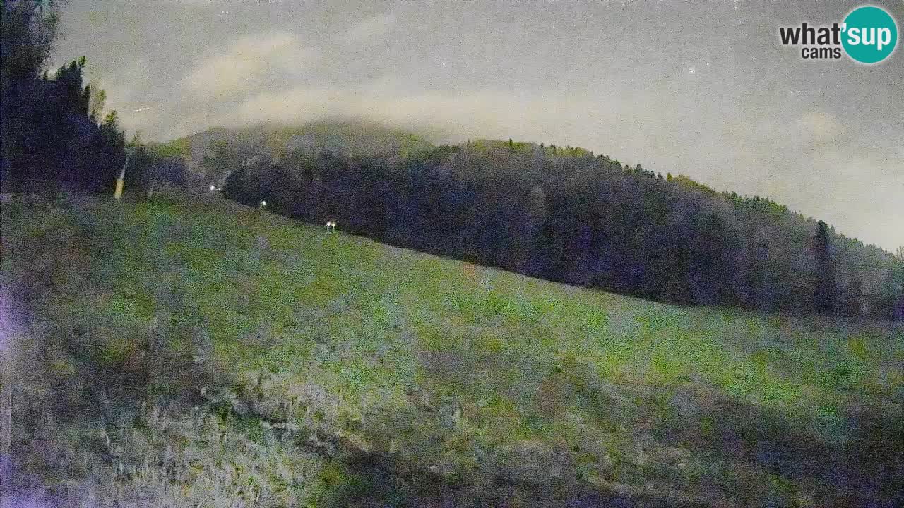 Esquí Kranjska Gora | Brsnina