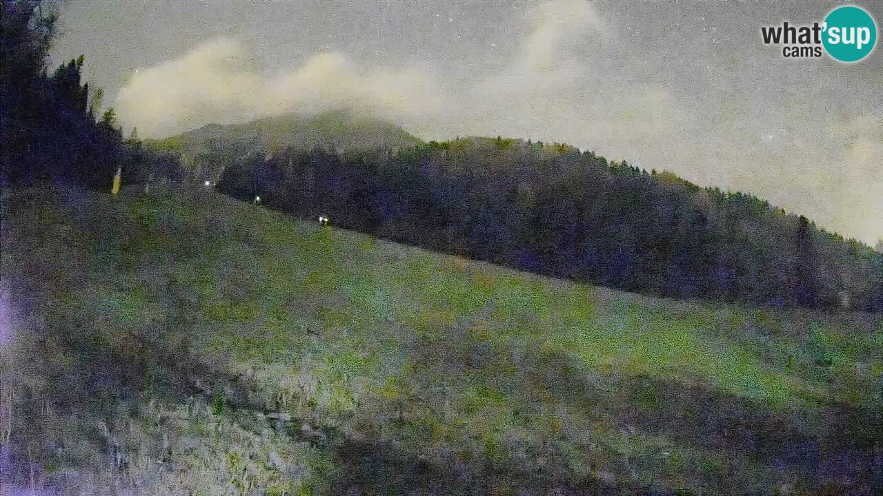 Esquí Kranjska Gora | Brsnina