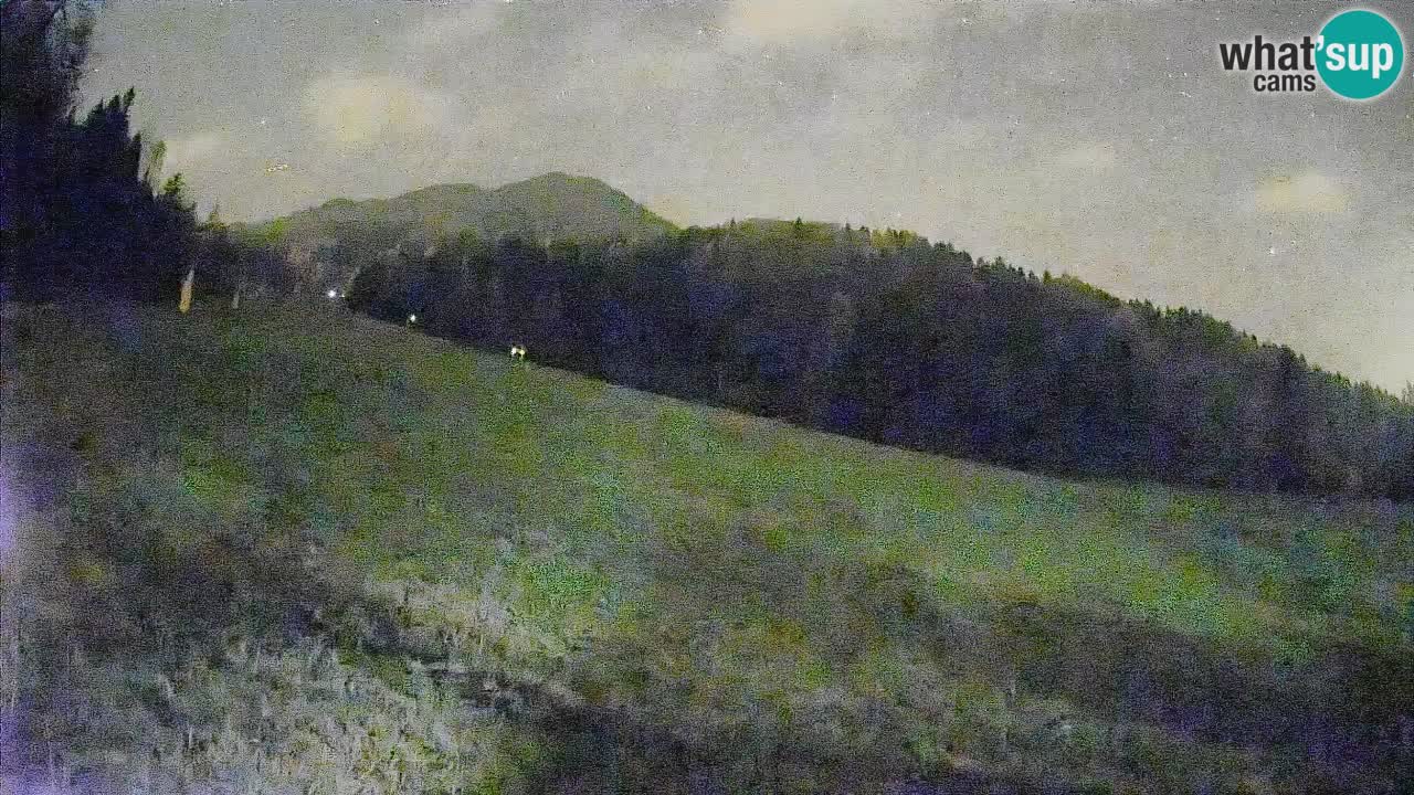 Comprensorio sciistico Kranjska Gora | Brsnina