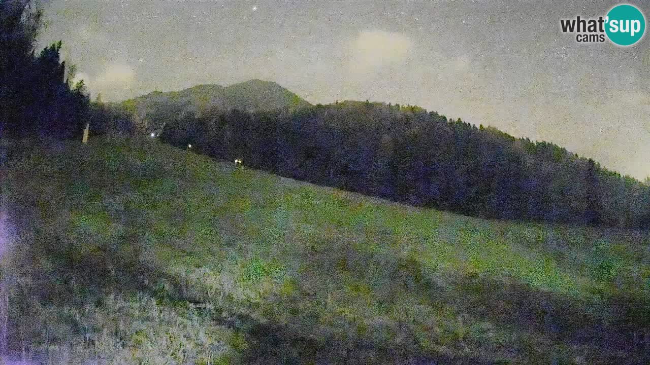 Esquí Kranjska Gora | Brsnina