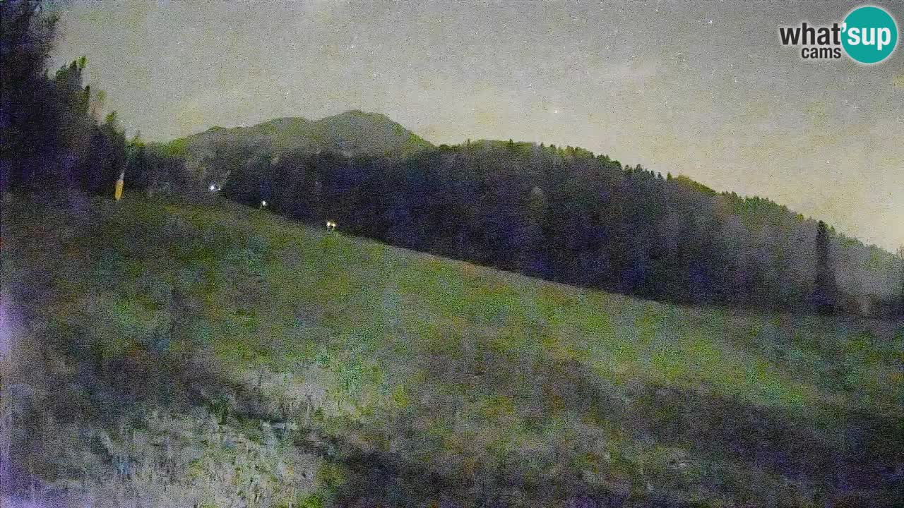 RTC Skigebiet Kranjska Gora | Brsnina