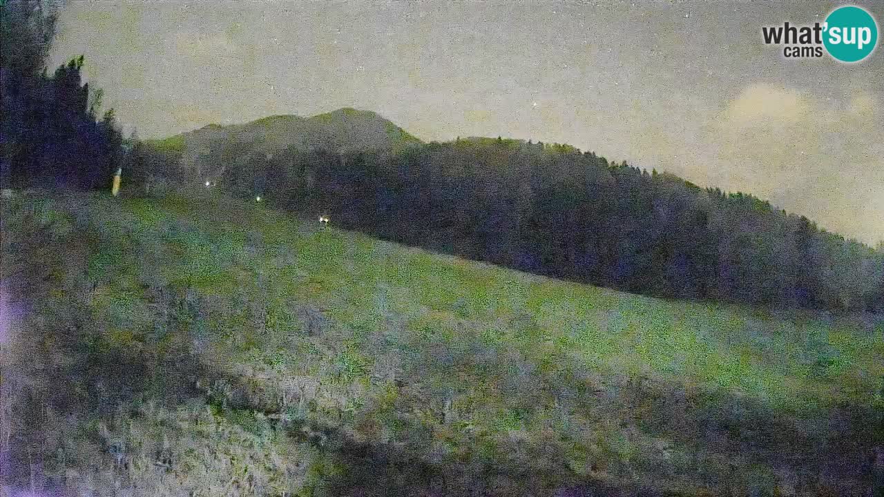 Esquí Kranjska Gora | Brsnina