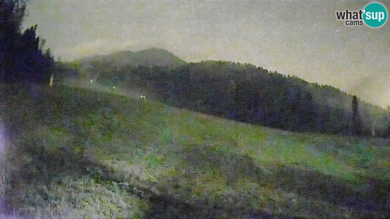 Ski Kranjska Gora | Brsnina