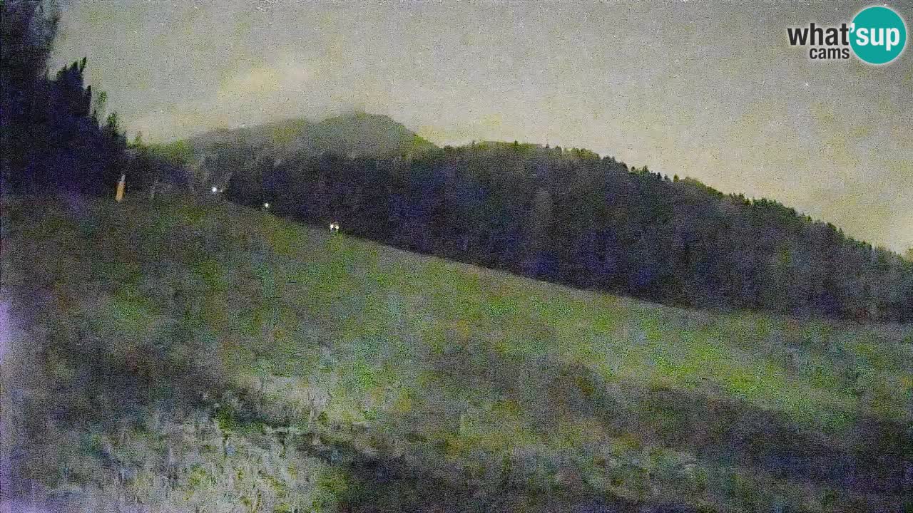 Ski Kranjska Gora | Brsnina