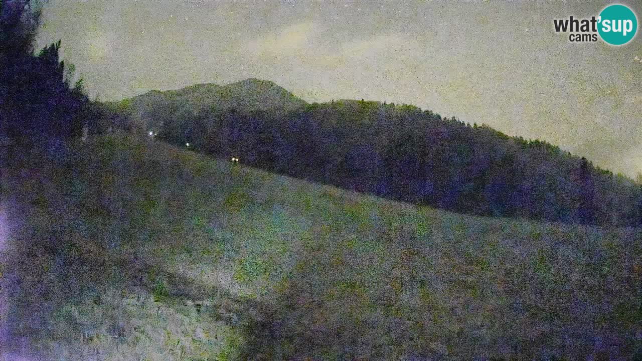 Ski Kranjska Gora | Brsnina