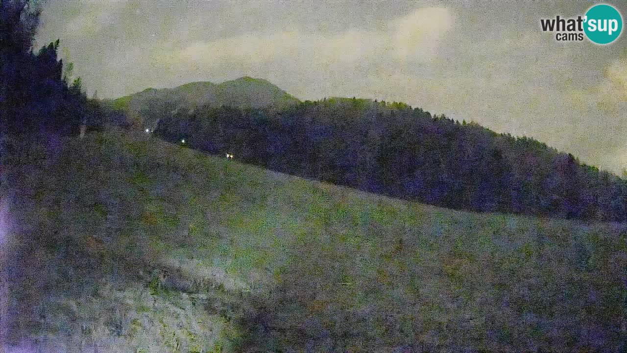 Comprensorio sciistico Kranjska Gora | Brsnina