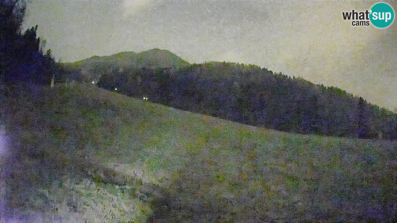 Ski Kranjska Gora | Brsnina