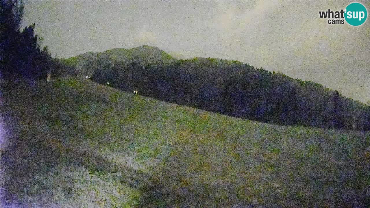 RTC Kranjska Gora | Brsnina