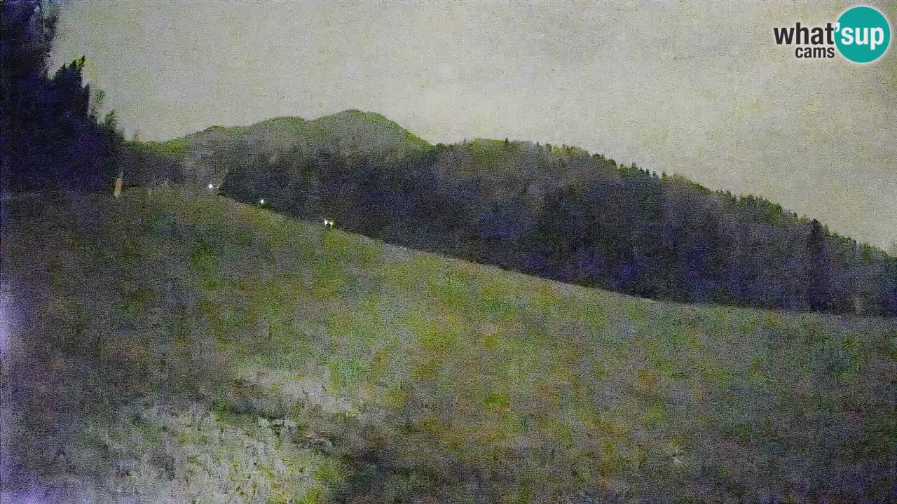 Comprensorio sciistico Kranjska Gora | Brsnina