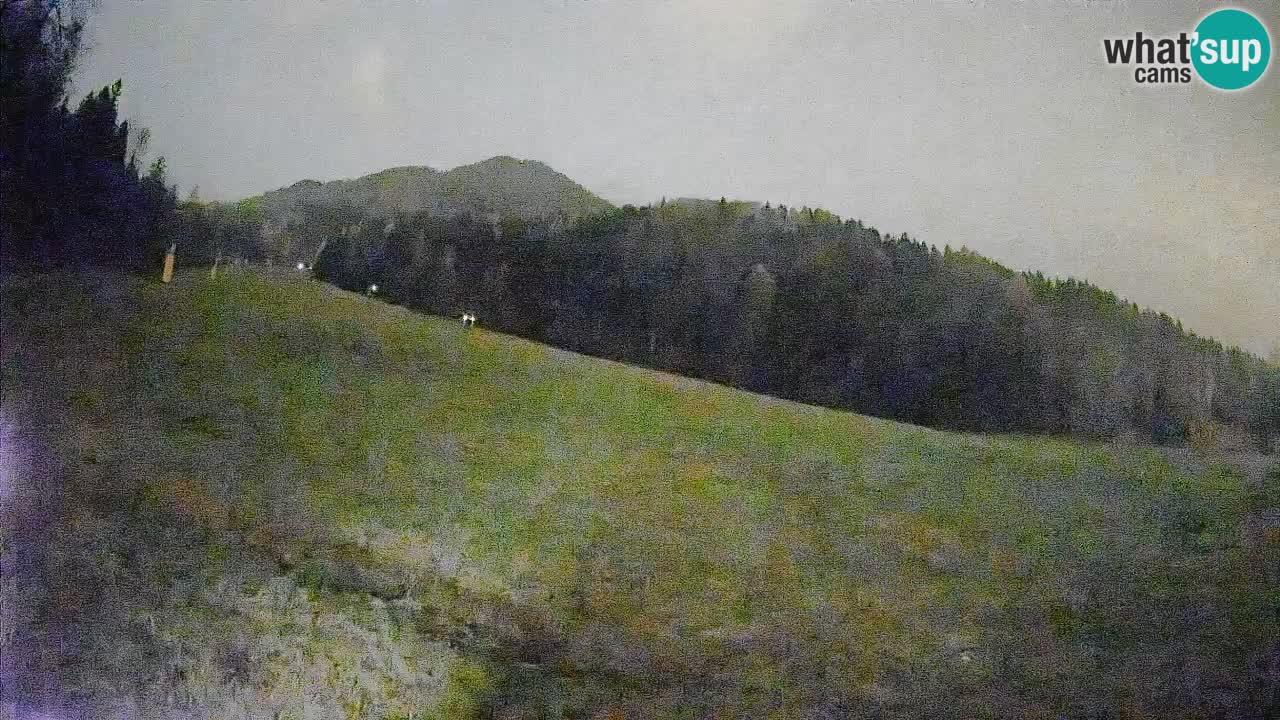 Kranjska Gora Station de ski | Brsnina