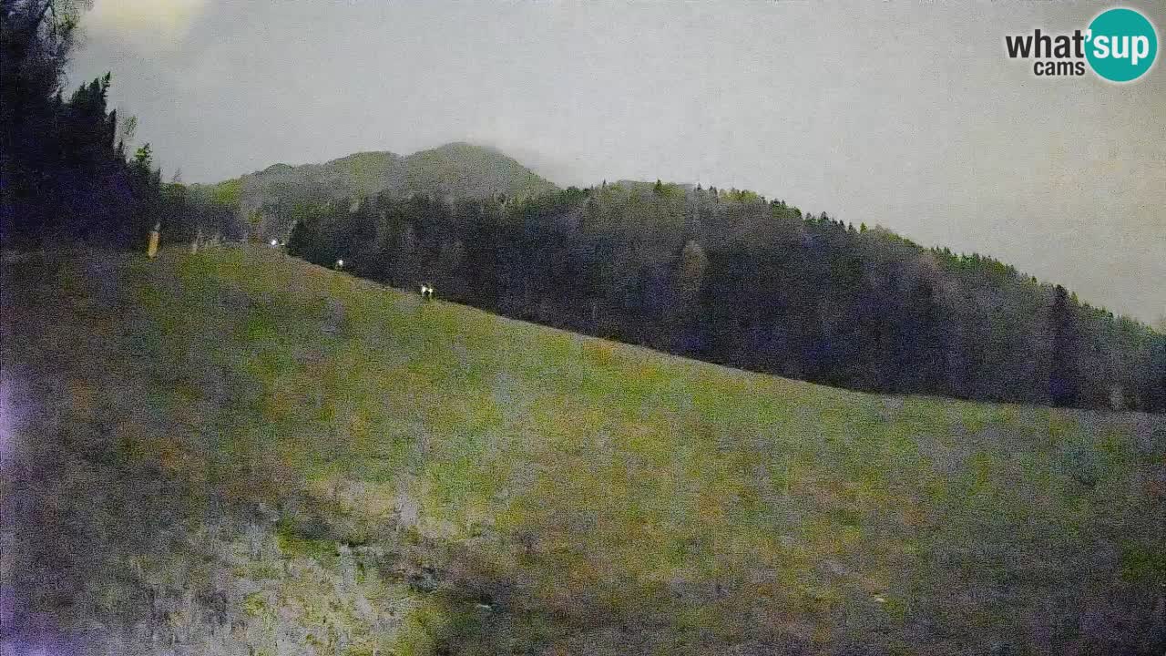 Esquí Kranjska Gora | Brsnina