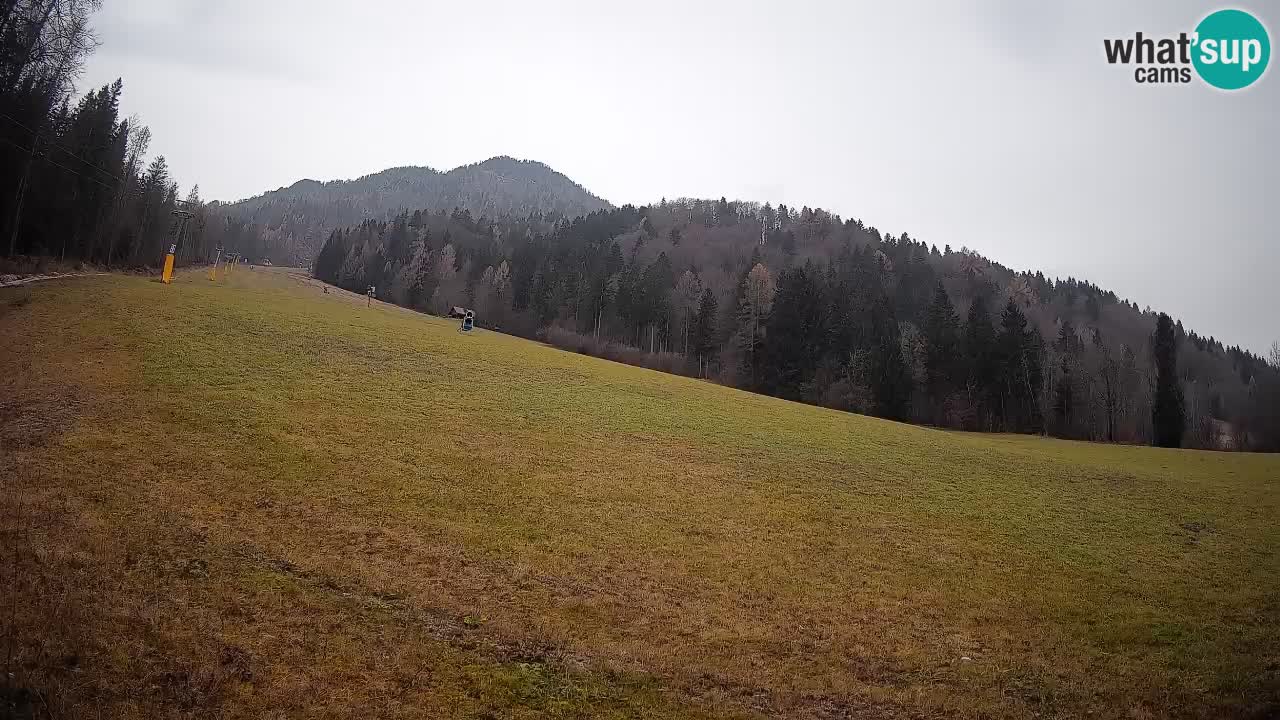 Esquí Kranjska Gora | Brsnina